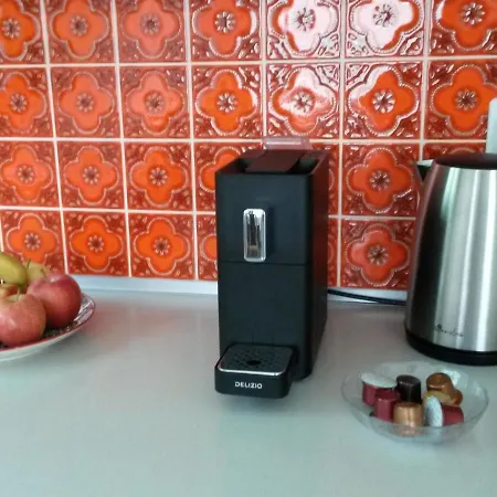 Anderegg Apartment *